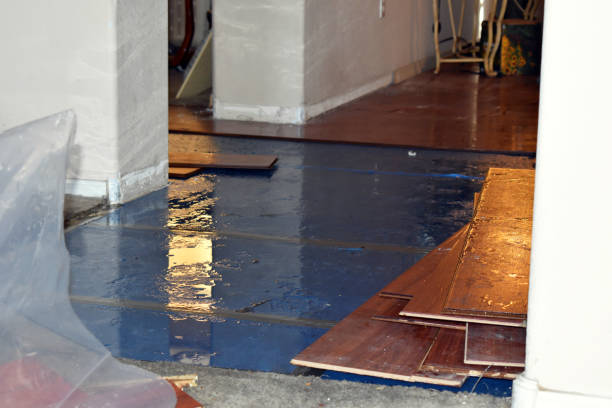 Professional Basement Flood Cleanup technician working in Butler, MO
